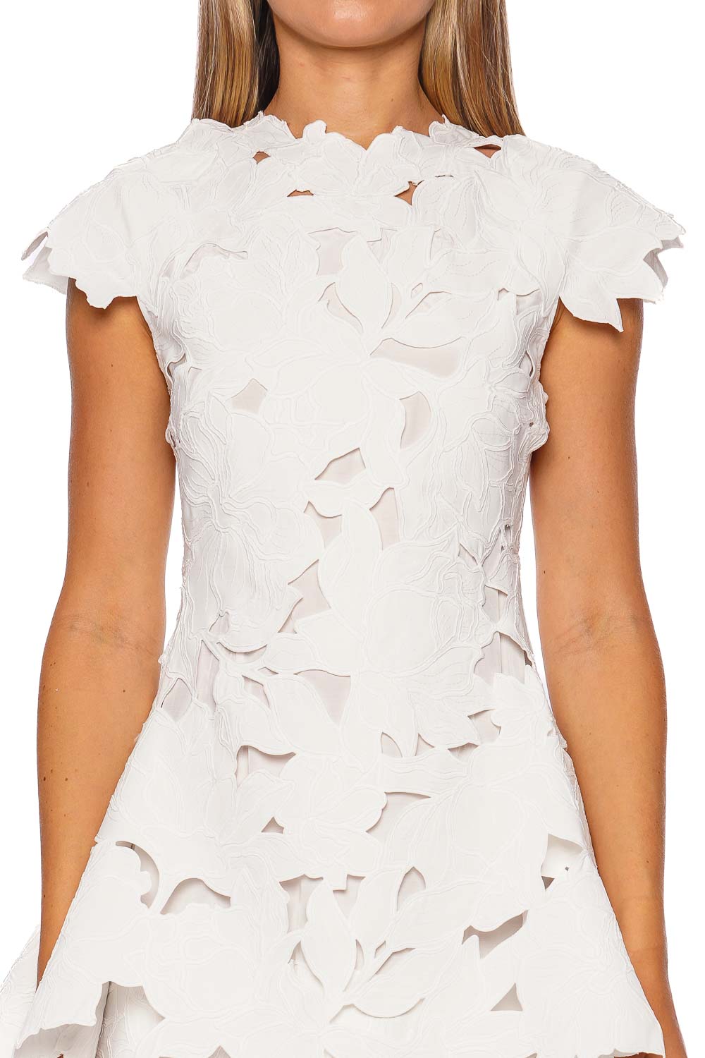 Holloway Embroidered Cap Sleeve Mini Dress