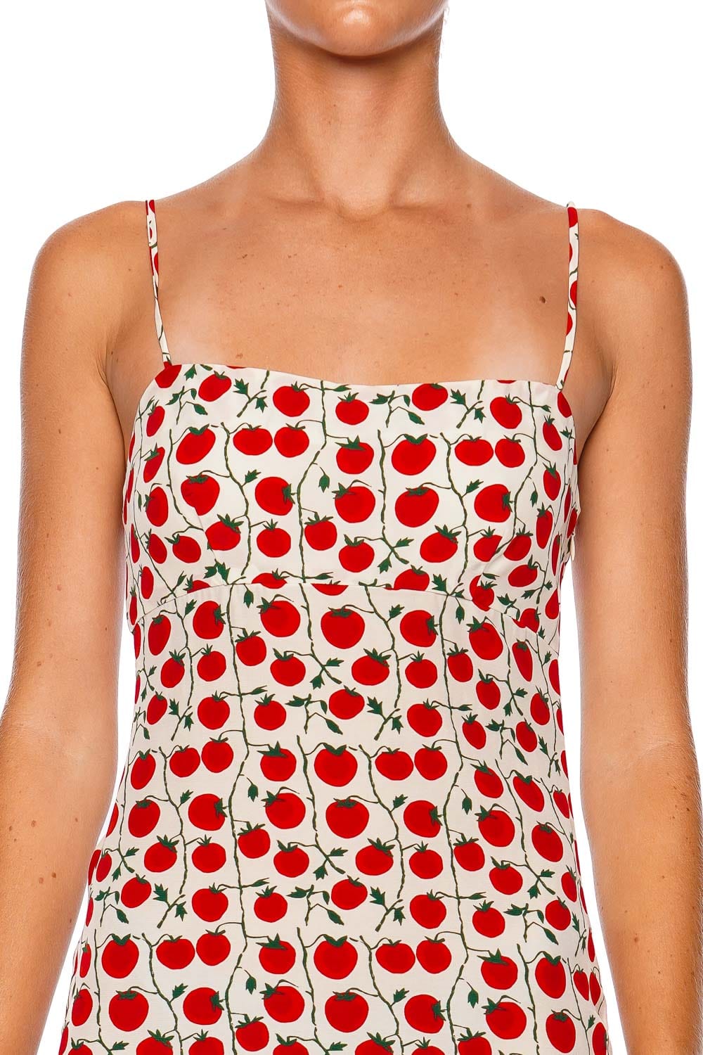 Remington Vine Roma Printed Mini Dress