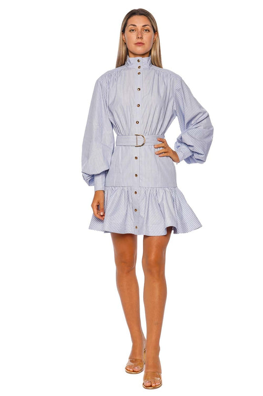 Stripe Utility Belted Long Sleeve Mini Dress