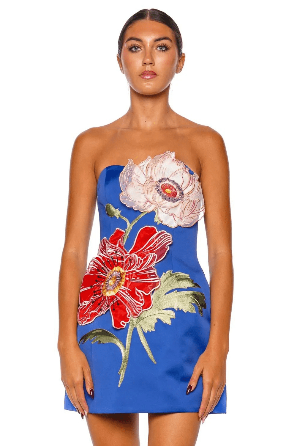 Rosario Floral Embroidered Strapless Mini Dress