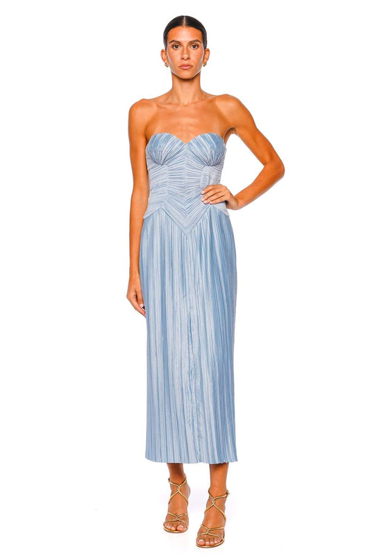 Ashika Coastal Corset Pleated Gown