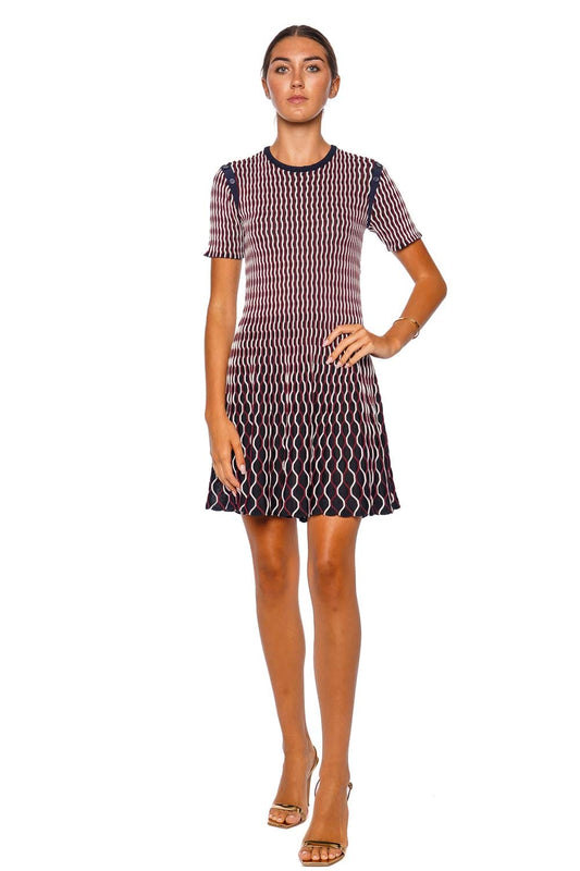 Baylor Short Sleeve Knit Mini Dress